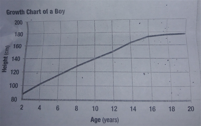 At which points in this graph is bone growing at the fastest rate-example-1