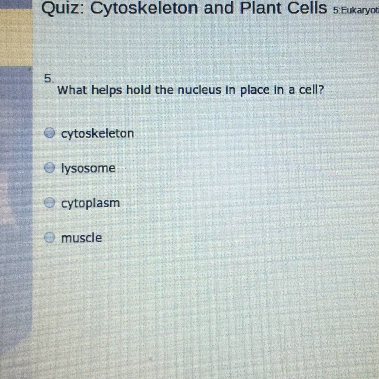 Which helps hold the nucleus in place in a cell?-example-1