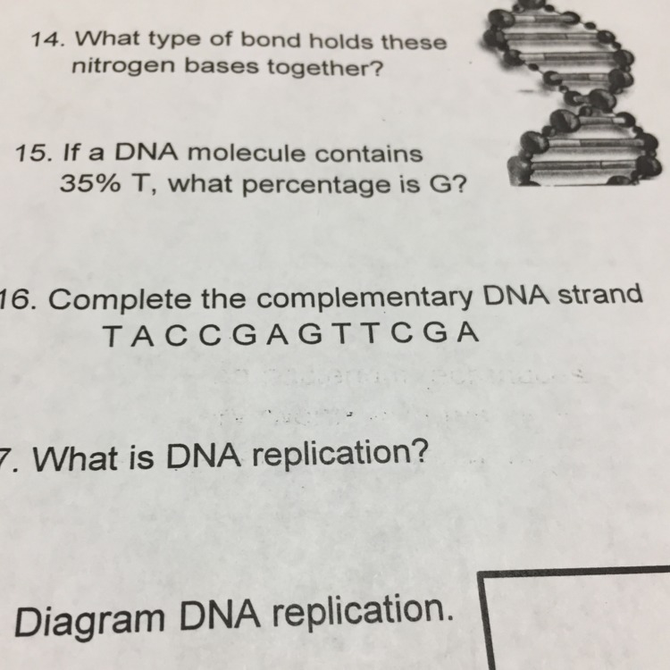 What do I do for #16 ?-example-1