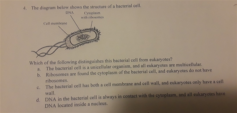 I originally chose A but the answer is D, why? Please help me, I need to do corrections-example-1