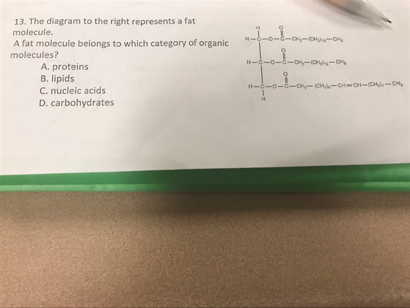 The diagram fat molecules which category?-example-1