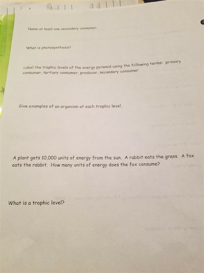 Plz help oh and one of the questions is what percent of energy does an individual-example-1