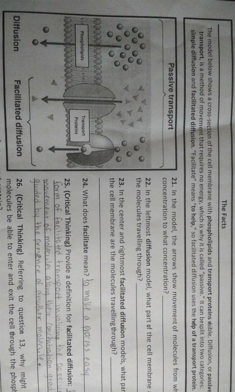 I need help with Bio.-example-1