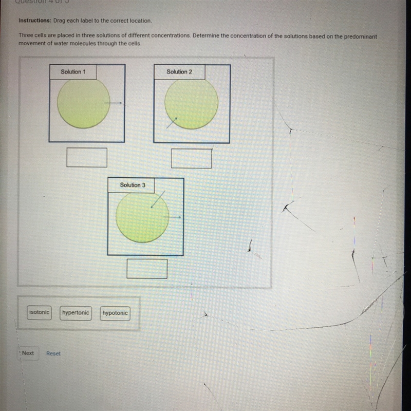 Determine the concentration of the solution based on the predominant movement of water-example-1