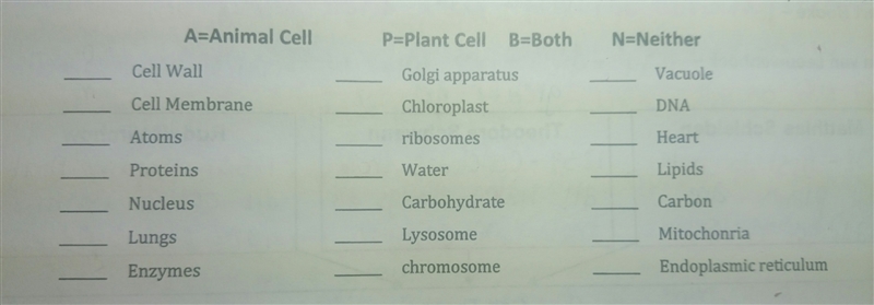 Please just answer please. Easy cell questions-example-1