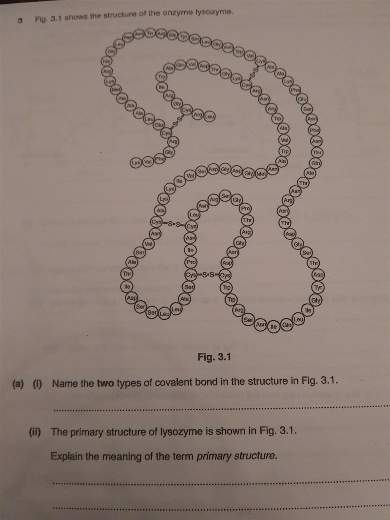 Can someone help me with this question?-example-1