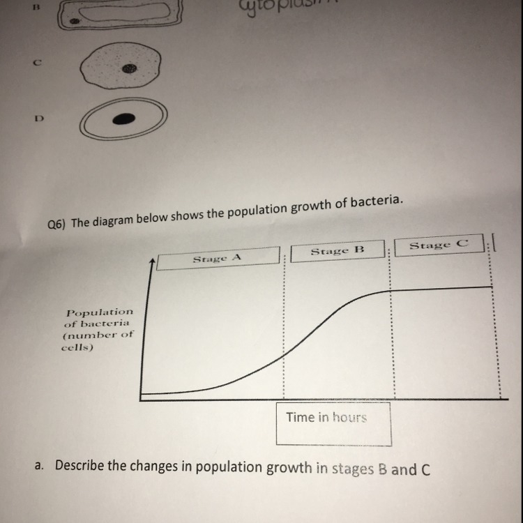 How do i find out the answer to this question?-example-1