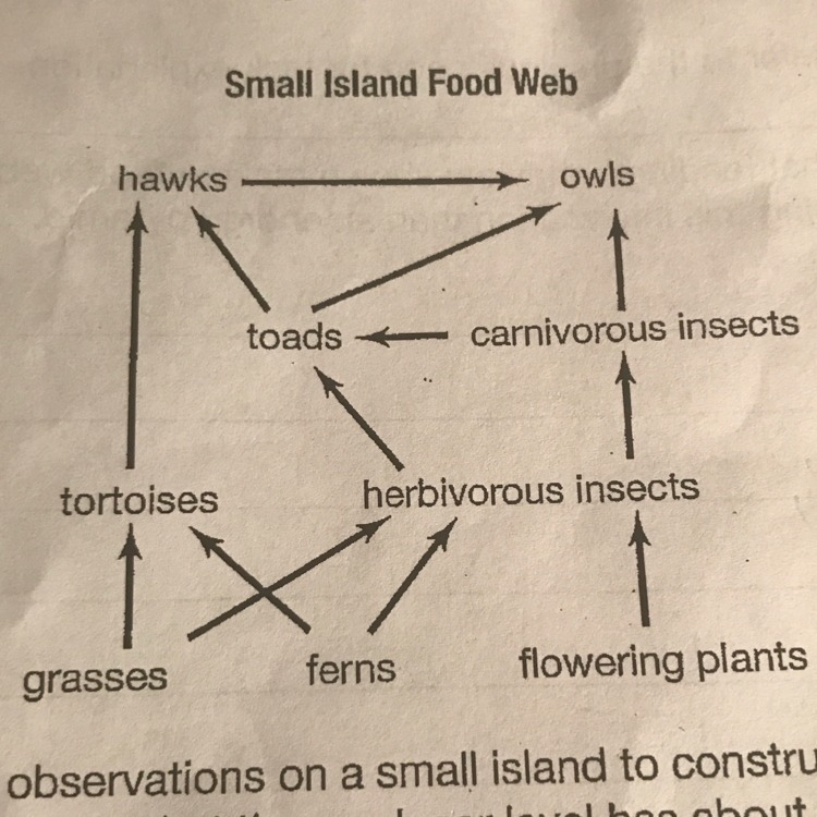 Biologists use their observations on a small island to construct the food web shown-example-1