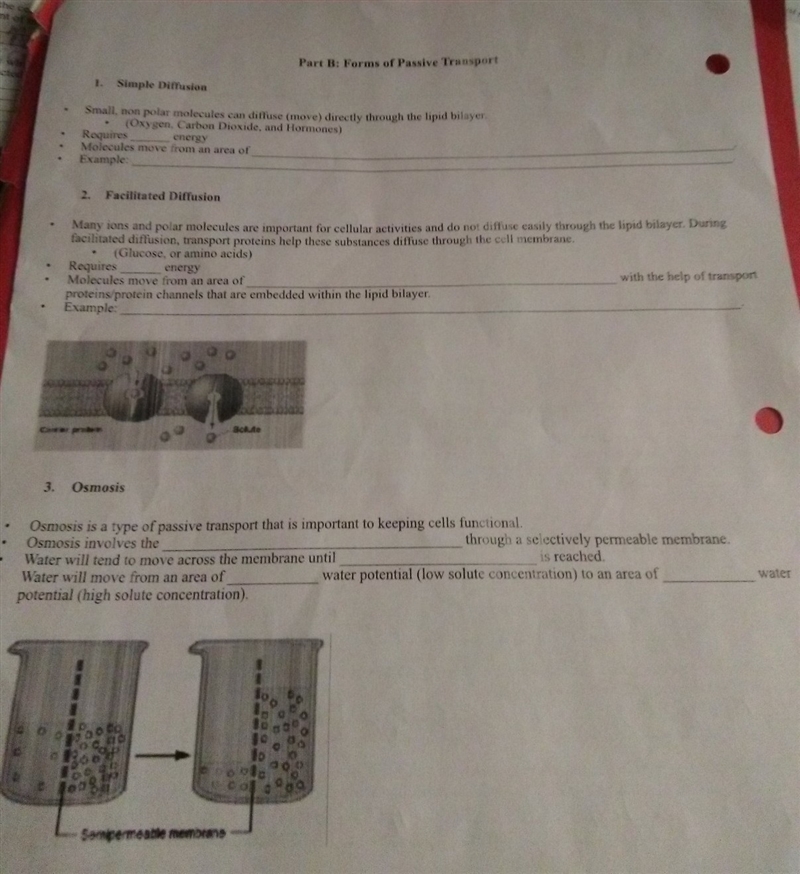 Please help fill in blanks!!!!!!!! on this homework sheet please i need much help-example-1