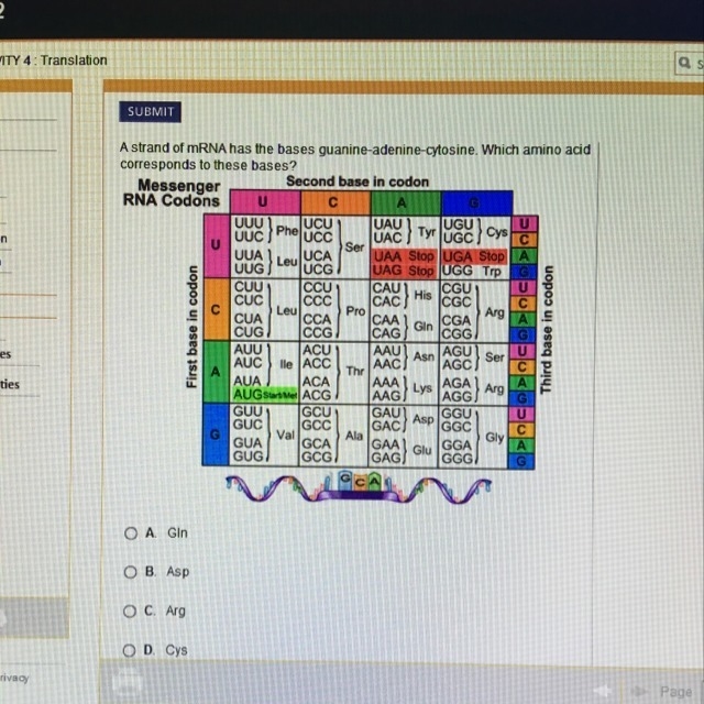 Which strand of mrna has the bases guanine-adenine-cytosine. Which amino acid corresponds-example-1