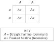 Base your answers to the following questions on the diagram below which shows a model-example-1