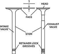 Fill in the blank label in the above figure. A. Cleave B. Gap C. Margin D. Bridge-example-1