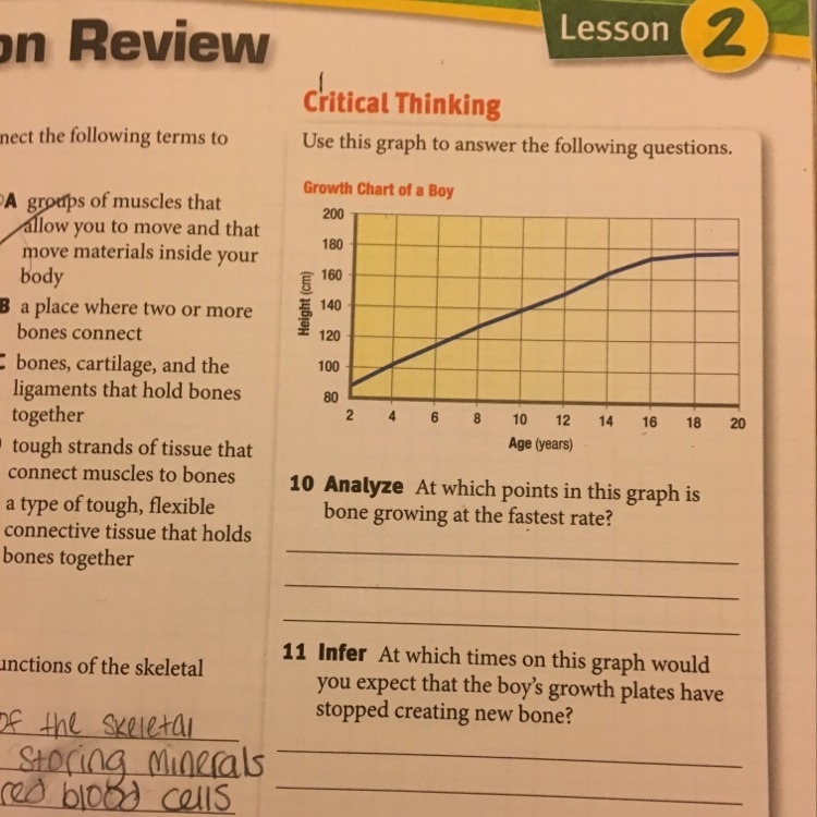 I need help with 11 and 12-example-1