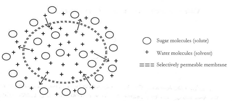 A solution consists of a solute and a solvent mixed together. for the solution in-example-1