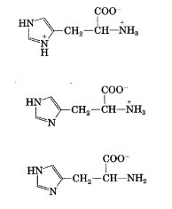 Histidine has three ionizable functional groups. write the equilibrium equations for-example-2