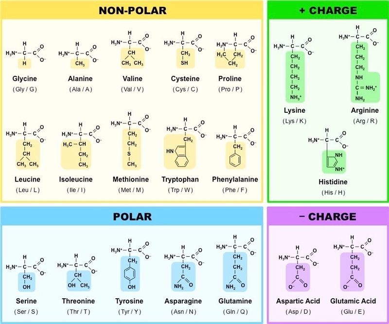 A 'ring' is simply a chain or part of a molecule where the atoms form into a circle-example-1