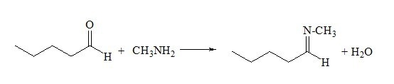 Predict the product when pentanal reacts with ch3nh2 in the presence of an acid catalyst-example-1