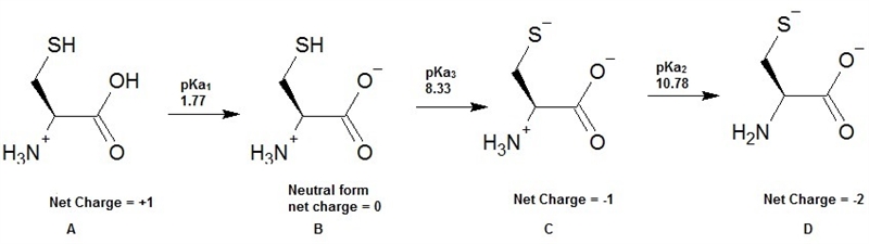 Give the pka values for the protonatable groups of cysteine, and then calculate its-example-1