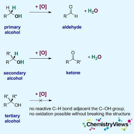 Results in an increase in the number of c-z bonds, where z is an element that is more-example-1