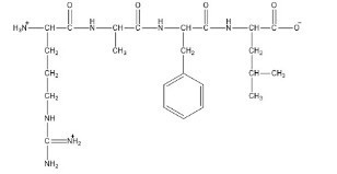 What is the net charge of the peptide arg-ala-phe-leu at ph 8?-example-1