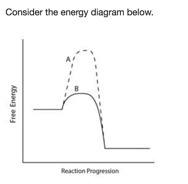 Consider the energy diagram below. xn. mc012-1.jpg Which line indicates a higher reaction-example-1