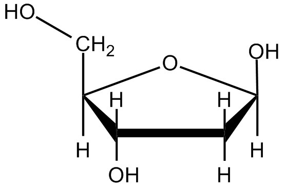 G: draw the monosaccharide present in dna. draw the sugar in its β-furanose form.-example-1