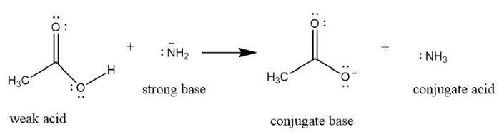 Draw the structures of the products of the neutralization reaction between amide ion-example-1