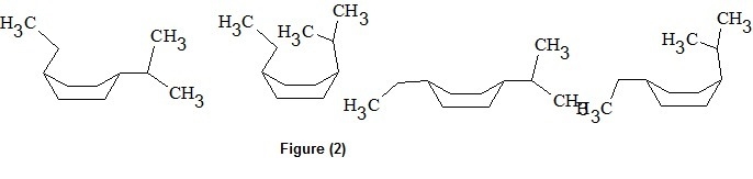 For trans-1-ethyl-4-isopropylcyclohexane, which structures represent the possible-example-2