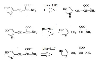 Histidine has three ionizable functional groups. write the equilibrium equations for-example-1