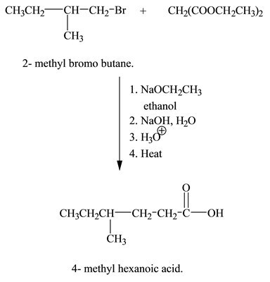 Show how you could prepare 4−methylhexanoic acid from diethyl malonate and any necessary-example-1