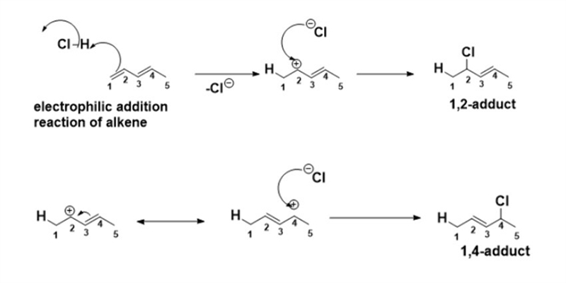 Give the structures of both 1,2 and 1,4 adducts resulting from reaction of 1 equivalent-example-2