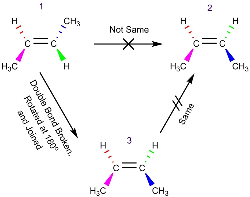 Roberto examines two molecular models. He sees that the atoms are the same in each-example-1