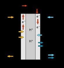 What role do the nafion resin and h3po4 play? could you use concentrated hcl or h-example-2