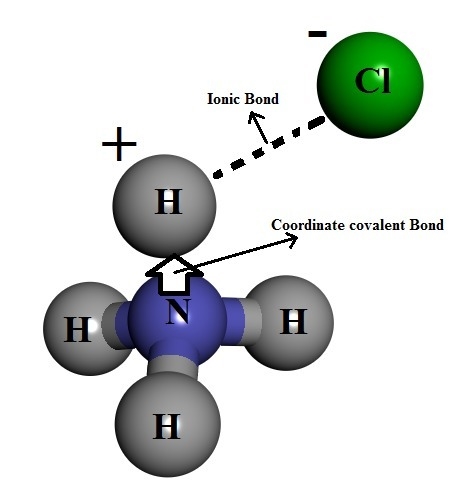 Is there an N−Cl bond in solid ammonium chloride?-example-1