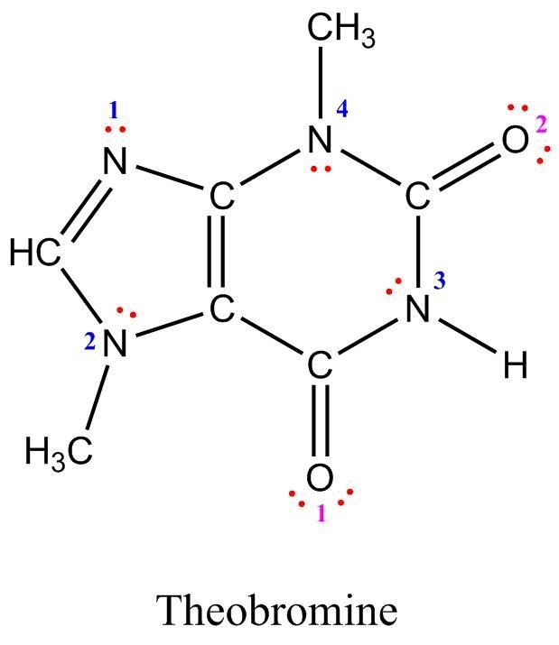 Theobromine (greek theobroma, meaning "food of the gods") is a common constituent-example-1