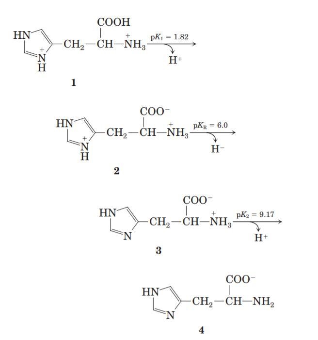 Histidine has three ionizable functional groups. write the equilibrium equations for-example-1