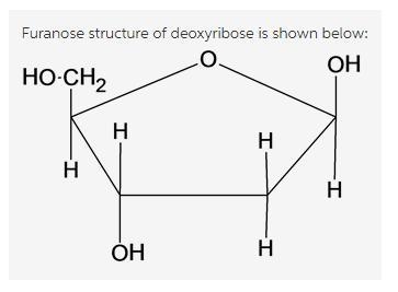 G: draw the monosaccharide present in dna. draw the sugar in its β-furanose form.-example-1