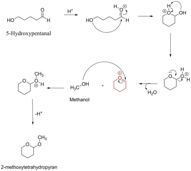 When 5-hydroxypentanal is treated with methanol in the presence of an acid catalyst-example-1