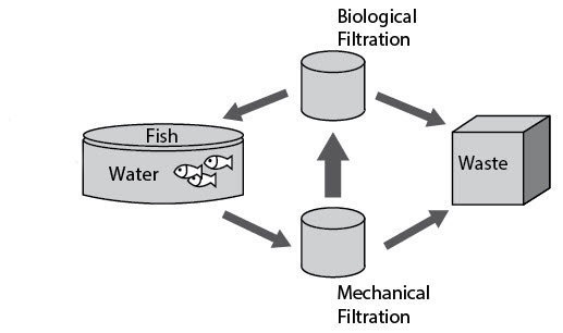 Various methods of aquaculture can be used to grow species of marine fish. Consider-example-1