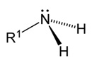 Which is a general representation of a secondary amine? (Pictures Are In Order) ﻿ A-example-2