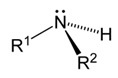 Which is a general representation of a secondary amine? (Pictures Are In Order) ﻿ A-example-3