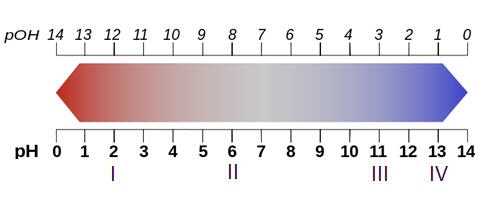 HELP 20 OR 15 POINTS Four different solutions (I, II, III, and IV) are labeled on-example-1