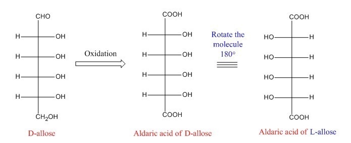 A. the aldaric acid of d-allose is the same as the aldaric acid of which sugar?-example-1