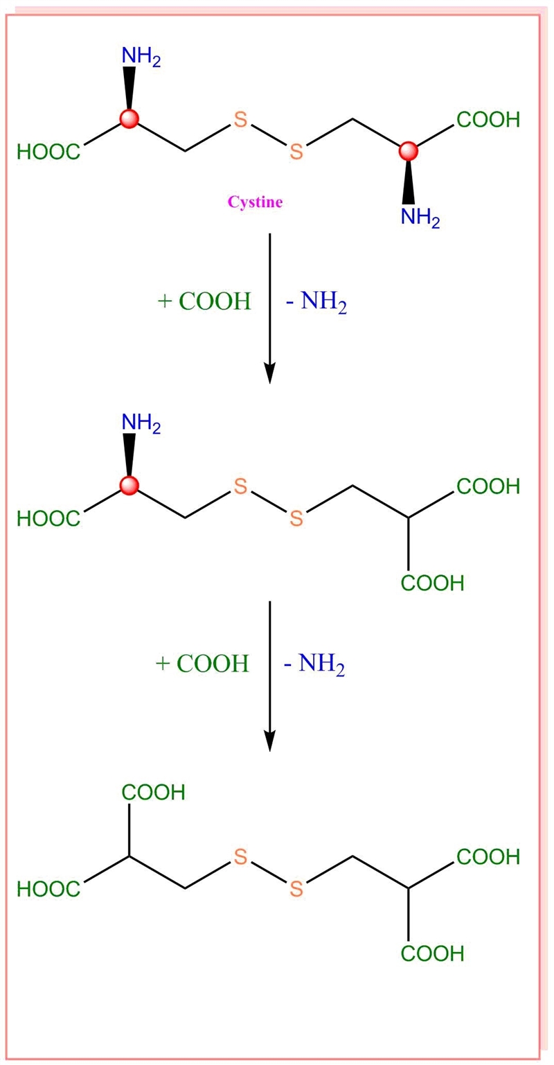 Suppose you had an organic molecule such as cystine, and you chemically removed the-example-1