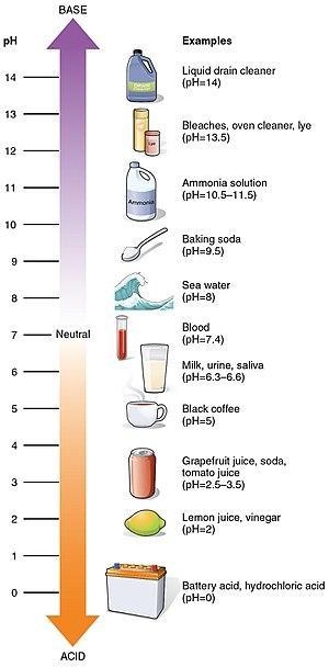 Which is the order of these solutions from strong acid to strong base?solutions:household-example-1