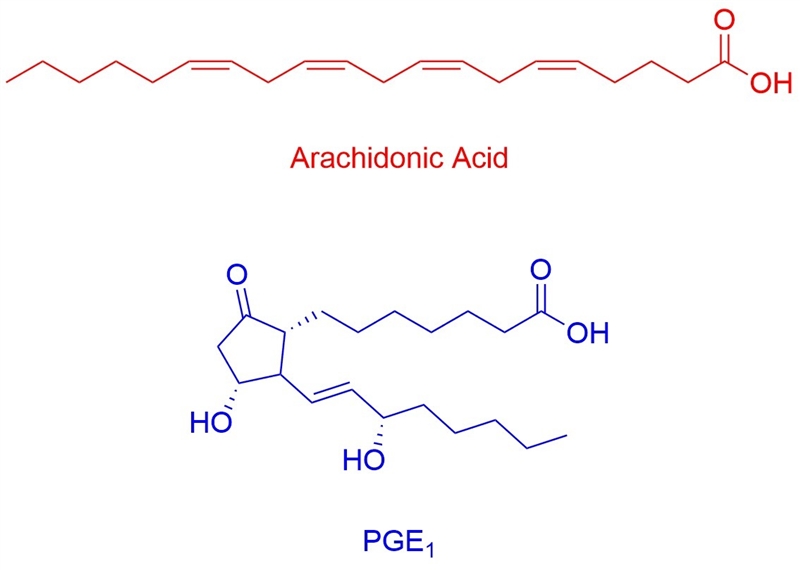 Arachidonic acid and pge1 are both carboxylic acids with atoms. the differences are-example-1