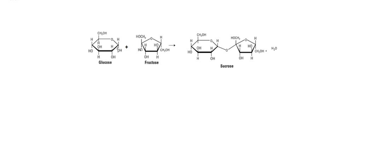 When two monosaccharides link to form a disaccharide, the by-product is __________. when-example-1