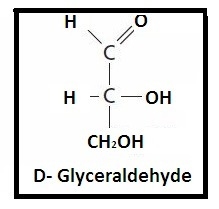 A carbohydrate with an aldehyde functional group is called: A. disaccharide B. aldose-example-1