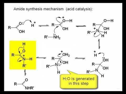 The first mechanistic step in the direct reaction of an amine with a carboxylic acid-example-1