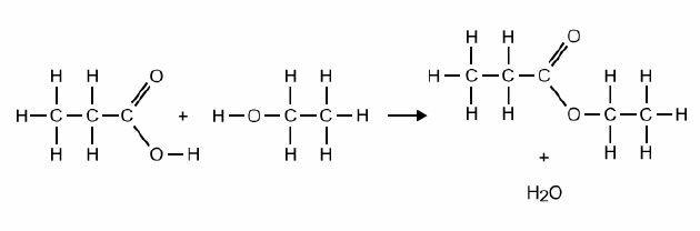 Which answer best describes this reaction? formation of an ester by condensation formation-example-1